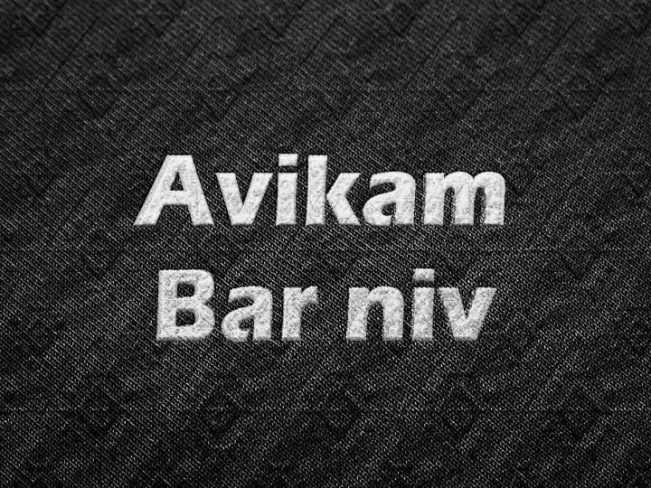avikam-barniv